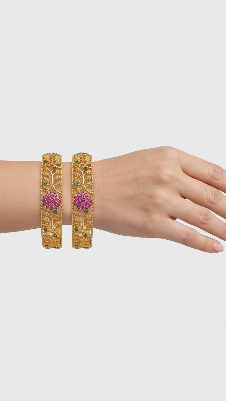 Kanushka Bangles · Set of 2